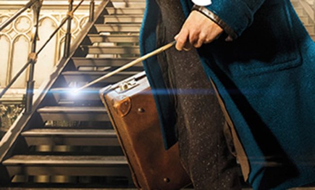 Newt Scamander wand