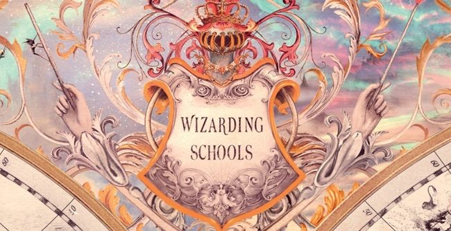 wizarding schools