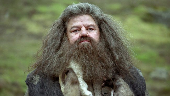 Rubeus Hagrid