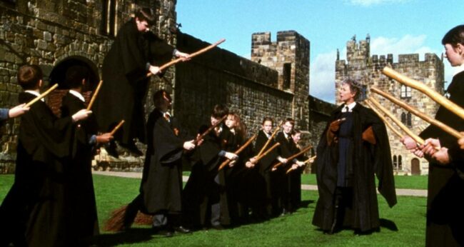 Madam Hooch Hakkında