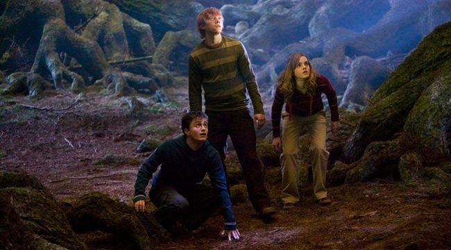 Gryffindor - Harry Ron Hermione