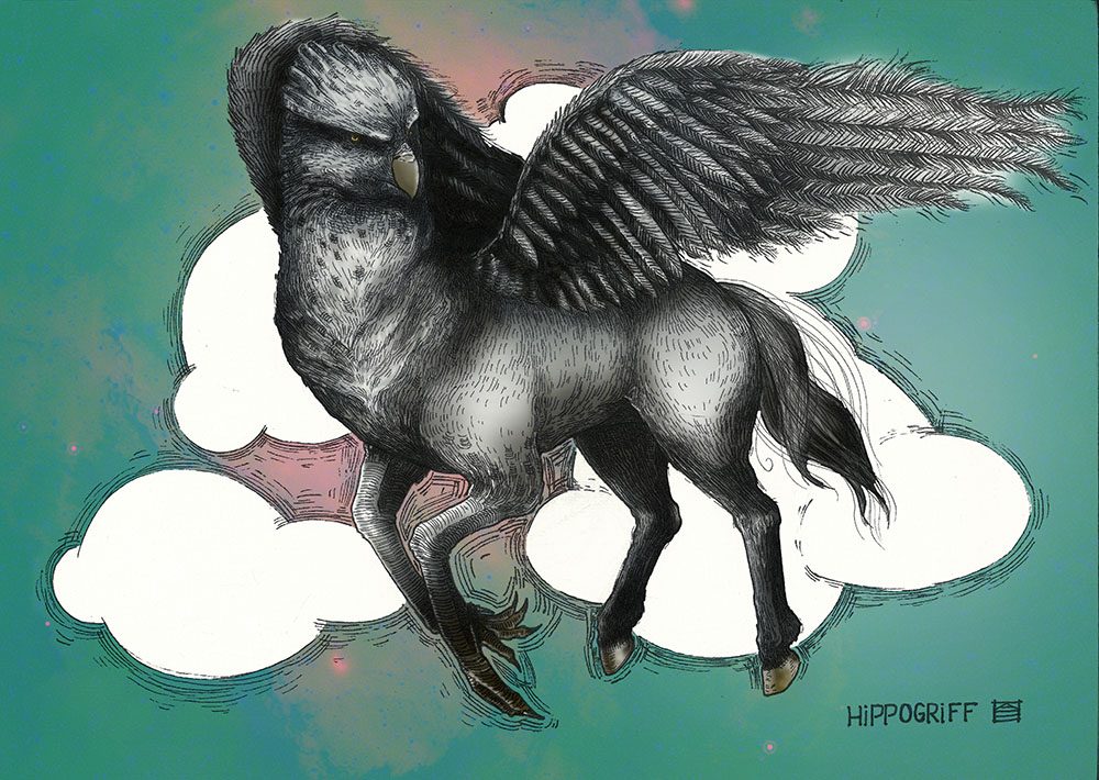 hippogriff