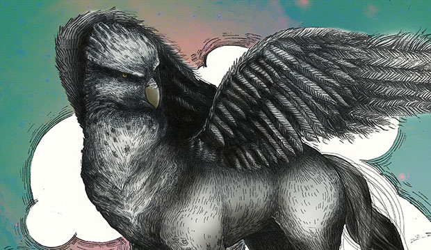 Клювокрыл из гарри поттера рисунок