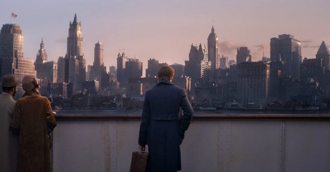 newt scamander new york