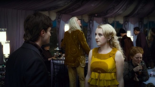 WB F7 Harry Luna at Fleur and Bill wedding HP7 1 FP 0176