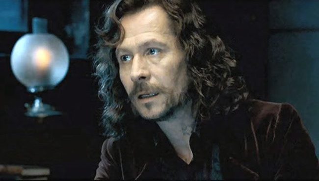 Harry Potter Baba Figürü - Sirius Black