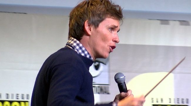 eddie redmayne comic con
