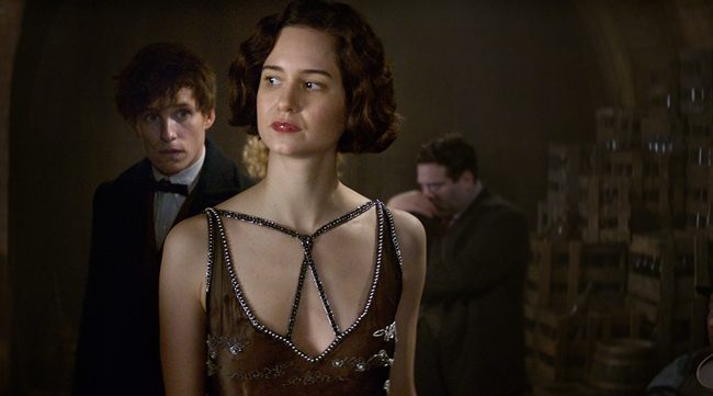 Katherine Waterston fc