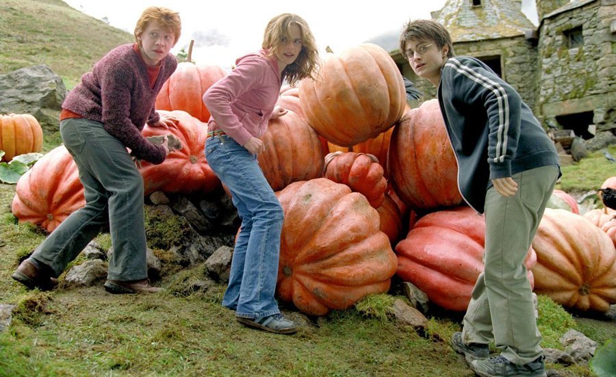 Büyü Ekonomisi Teori: Mugglelar - Harry, Ron, Hermione