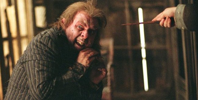 peter pettigrew fc