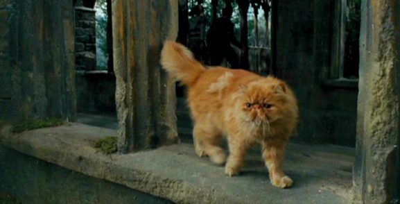 Azkaban Tutsağı - Crookshanks