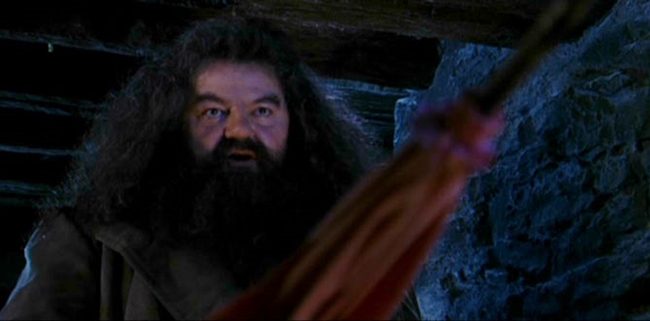 Rubeus Hagrid ve Süslü Pembe Şemsiyesi