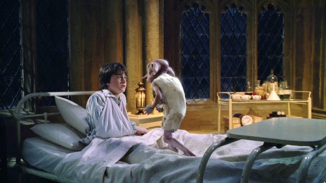 Büyücü İlkyardımı - Harry ve Dobby