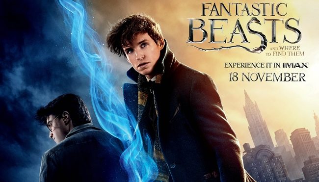 Harry Potter Newt Scamander IMAX top