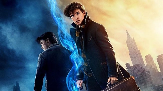 IMAX Newt Scamander FC