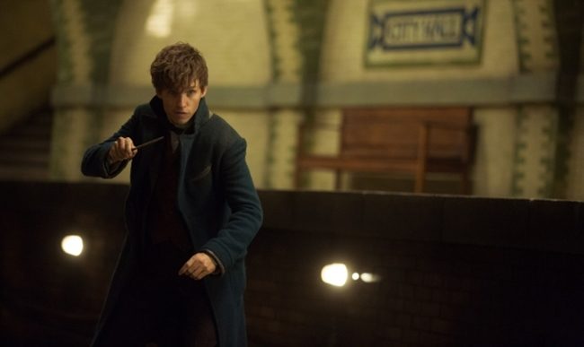 newt scamander fc promo