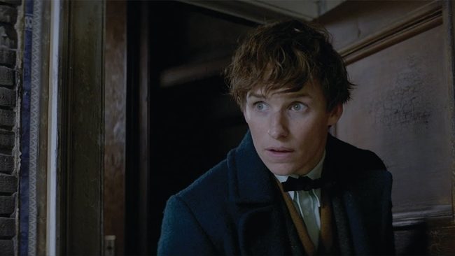 newt scamander son tanitim filmi