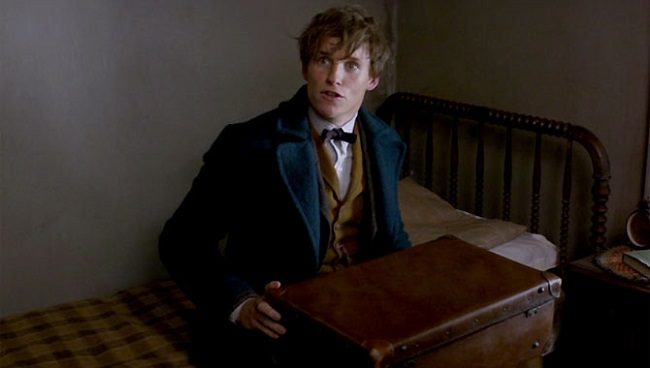 newt scamanderin cantasi