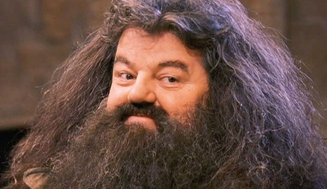 rubeus hagrid