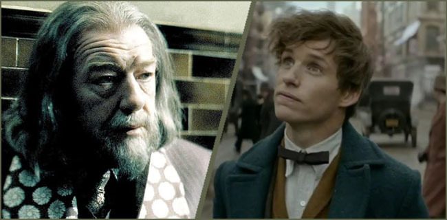 Albus Dumbledore Fantastik Canavarlar Newt Scamander