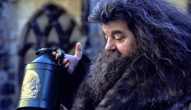 Rubeus Hagrid - Anahtar Bekçisi