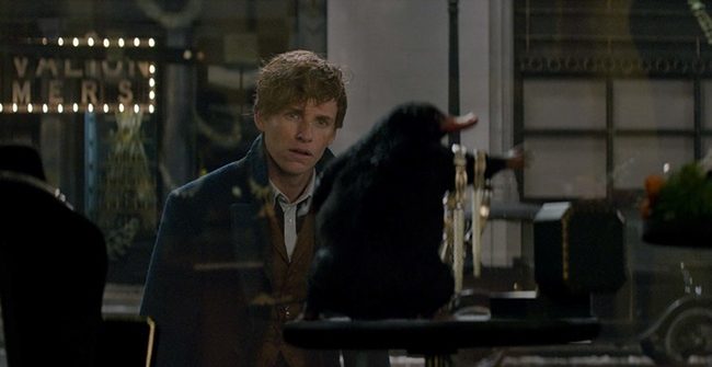 burnuk newt scamander fc