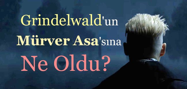 grindelwald murver asa teori