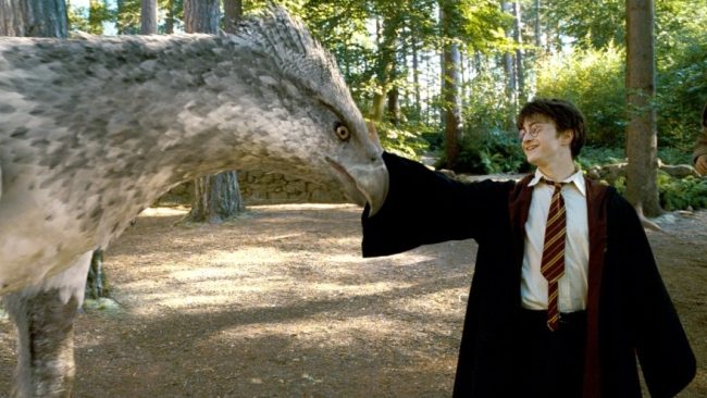 Harry Potter Filmleri CGI Özel Efekt
