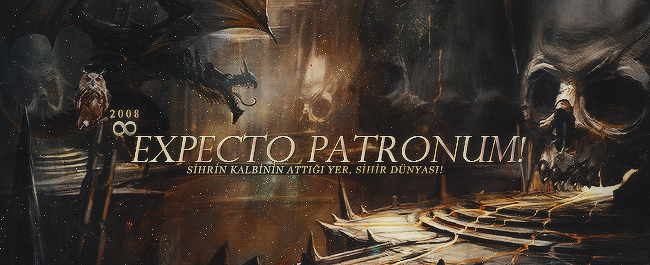 Harry Potter'ın RPG Dünyasına Geri Dönüyoruz! Hazır mısınız? 8 sihirdunyasi