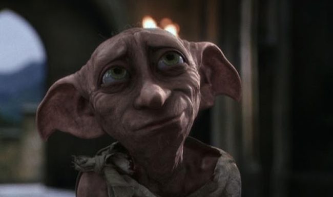 Hogwarts Ev Cinleri - Dobby Çoraplar