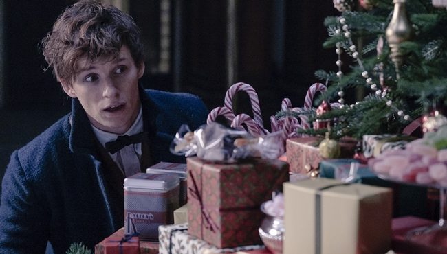 newt scamander yilbasi agaci