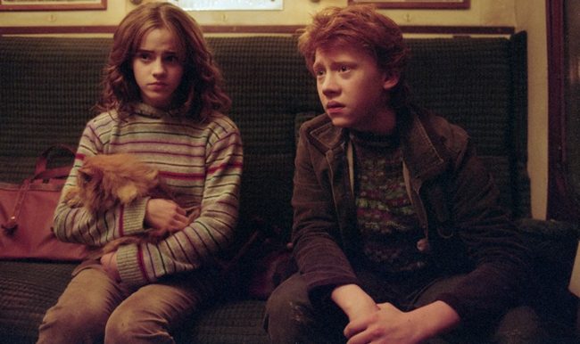 Ron ve Hermione Aşkları