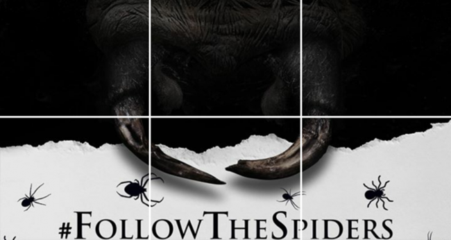 FollowTheSpiders 1