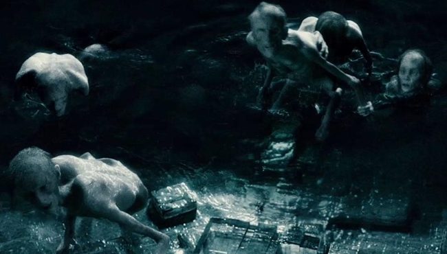 Inferiuslar inferius