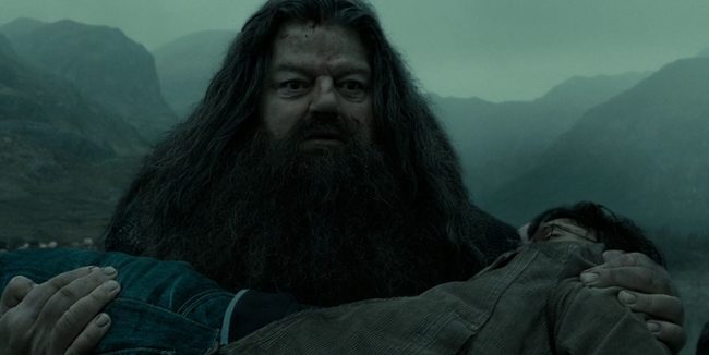 hagrid harry potter hortkuluk