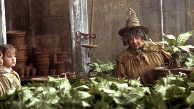 Pomona Sprout