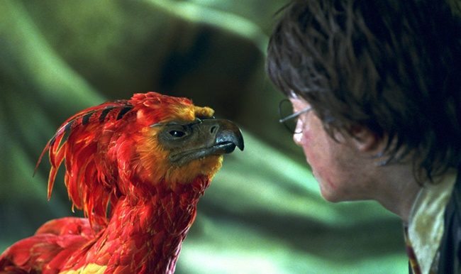 Fantastik Canavar - Fawkes