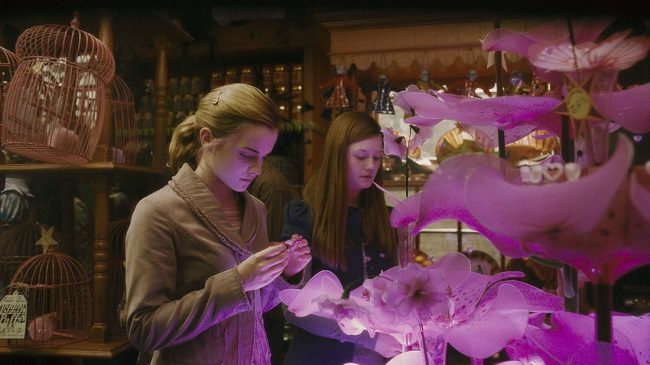 Hogwarts Yasakları - Hermione ve Ginny