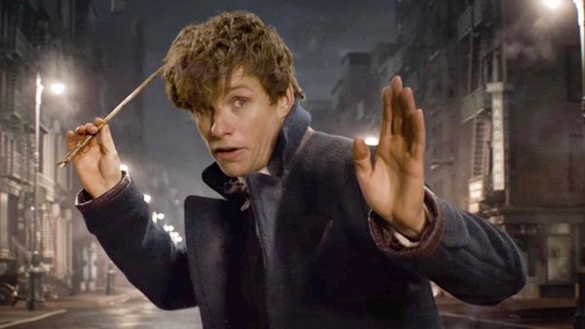 newt scamander fc up