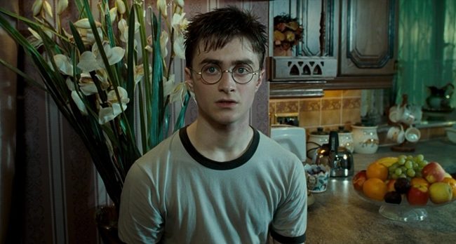 Harry Potter ve Zümrüdüanka Yoldaşlığı Detayı - Teori