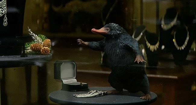 burnuk niffler