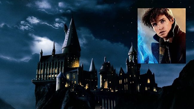 hogwarts newt scamander