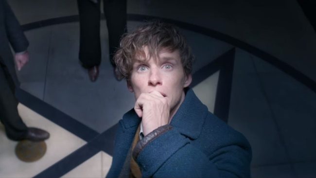 newt.scamander paris