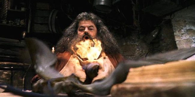 Felsefe Taşı Norbert - hagrid