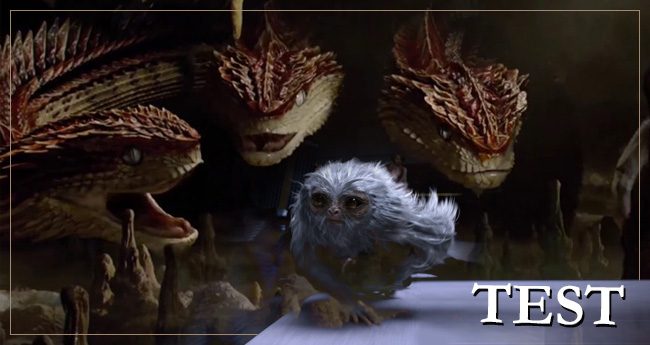 fc test fantastik canavarlar