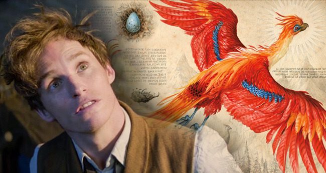 fantastik canavarlar fawkes