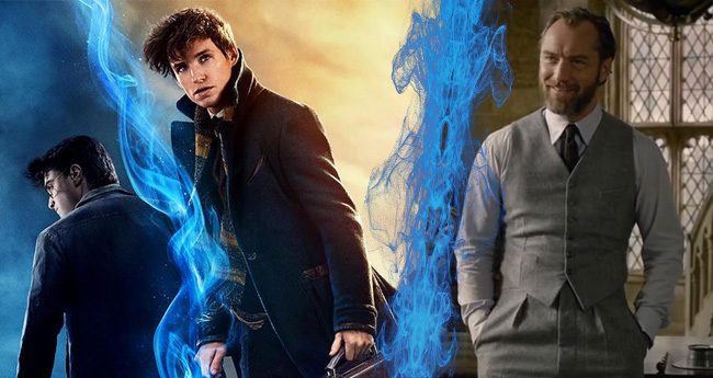 harry dumbledore newt