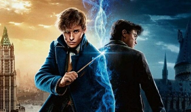 Seçilmiş Kişi: Newt Scamander ve Harry Potter