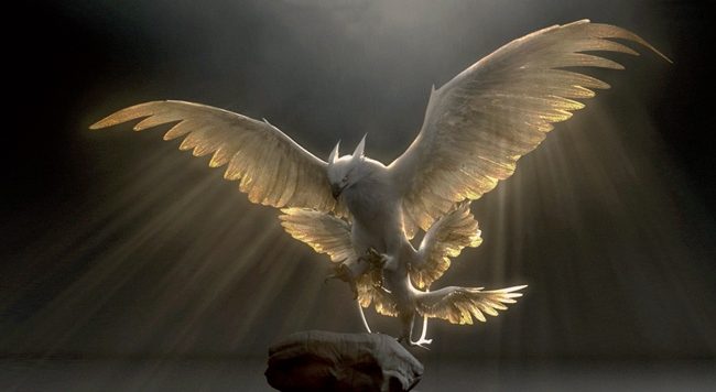 Thunderbird simsekkusu