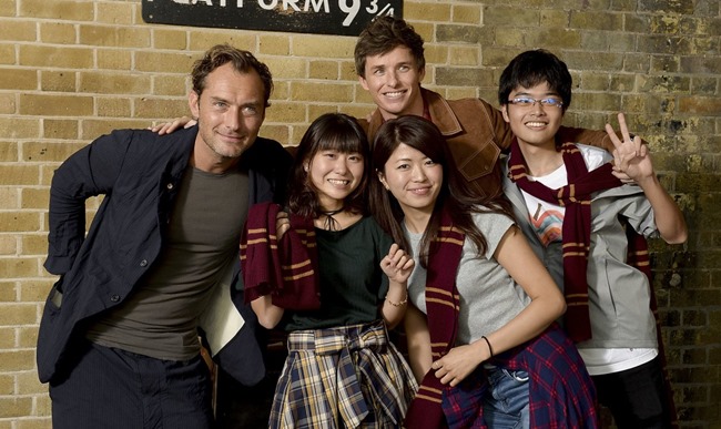 eddie redmayne jude law hogwarts